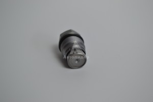 1110010028 Клапан редукционный 1110010028